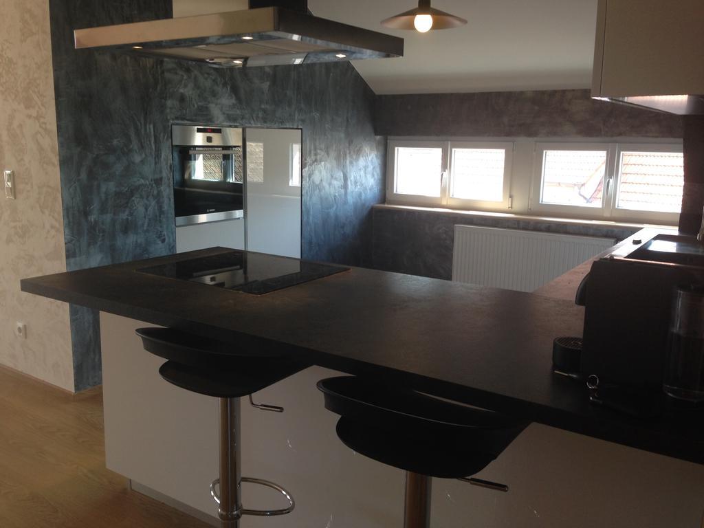 Meubles De Tourisme Heidelbeere Apartment Dambach Екстериор снимка