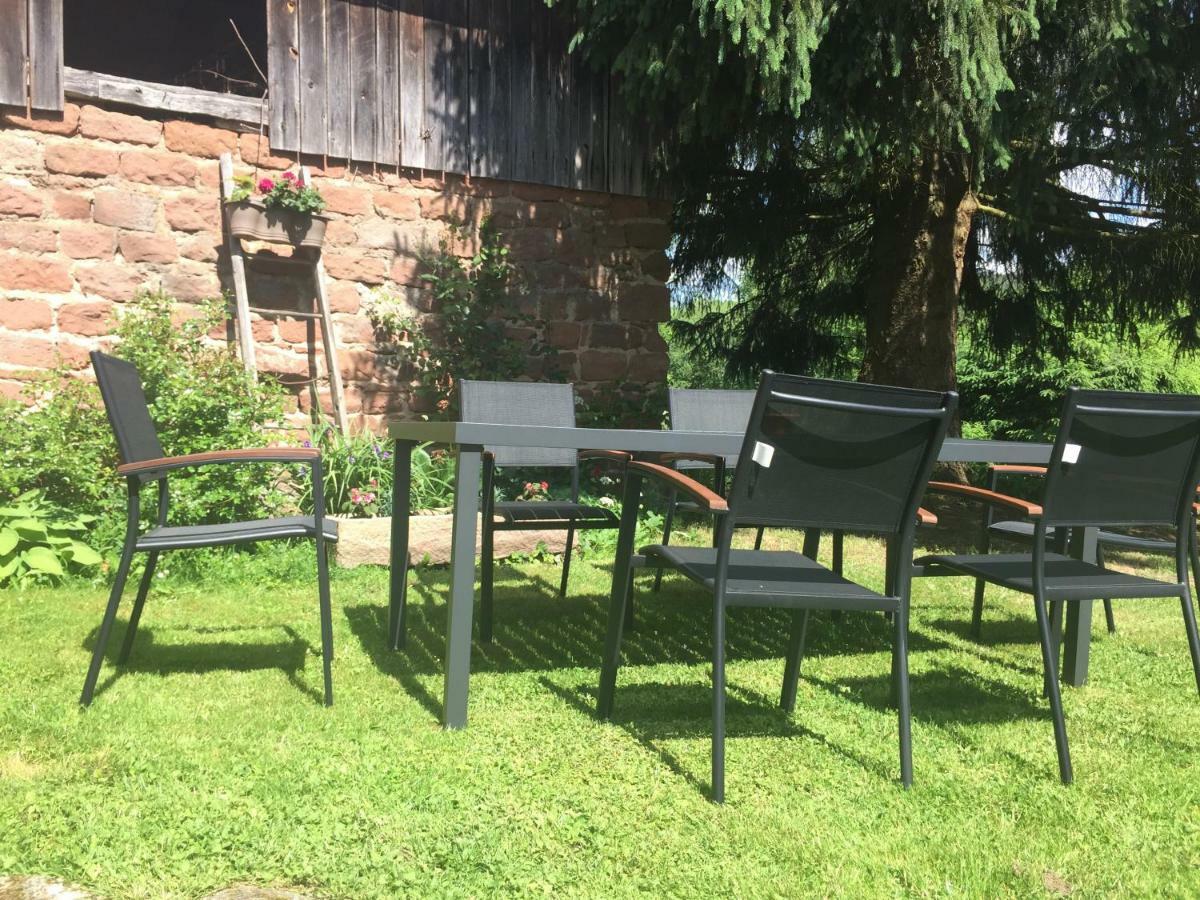 Meubles De Tourisme Heidelbeere Apartment Dambach Екстериор снимка