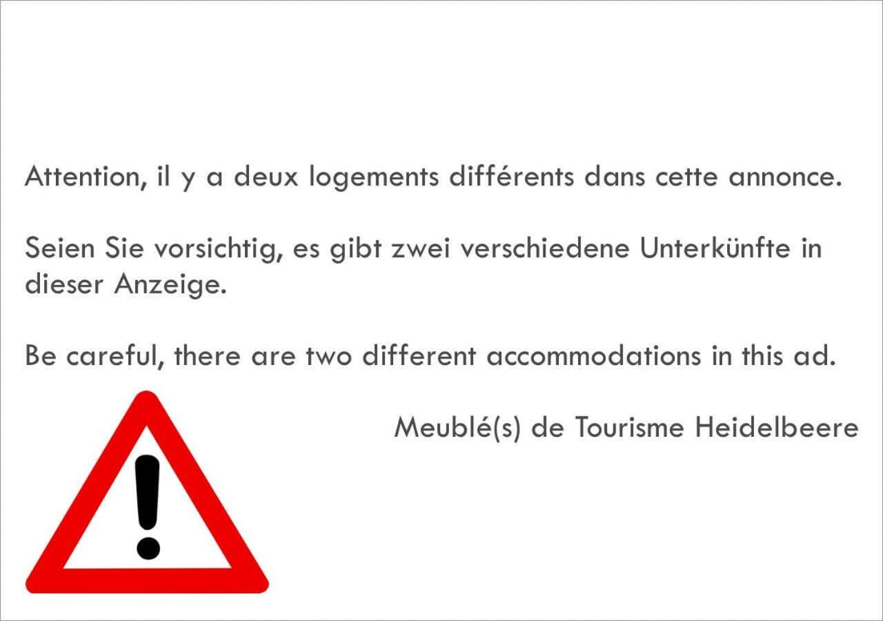 Meubles De Tourisme Heidelbeere Apartment Dambach Екстериор снимка
